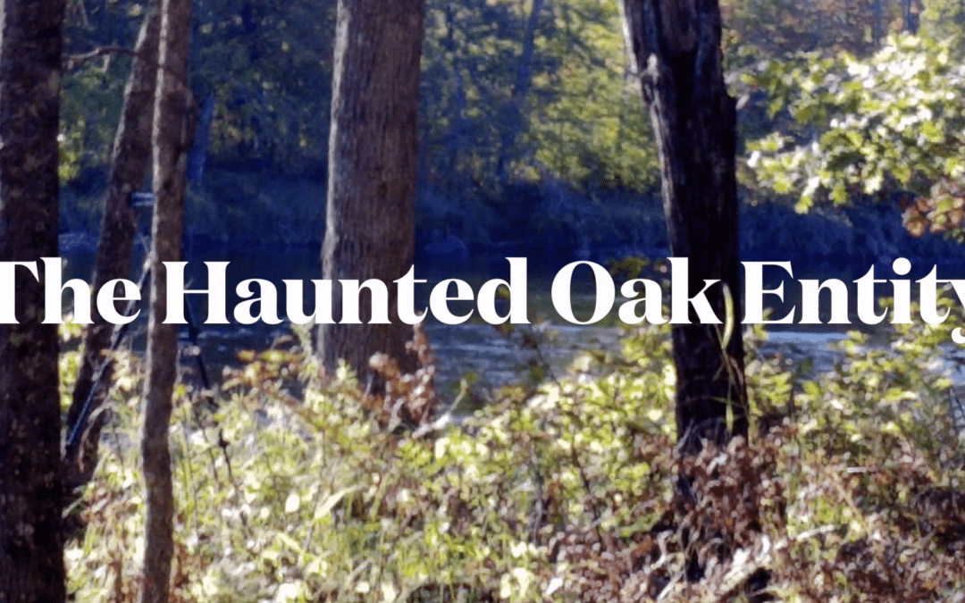 The Haunted Oak Entity